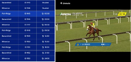 scommesse virtuali cavalli