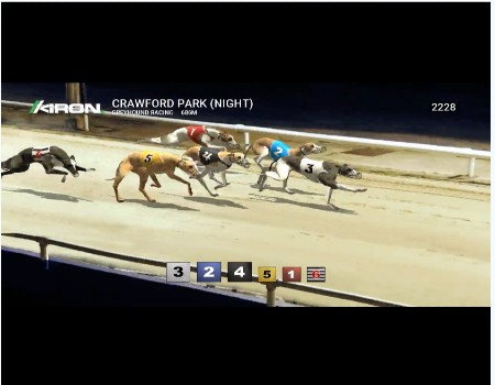 scommesse virtuali corse cani